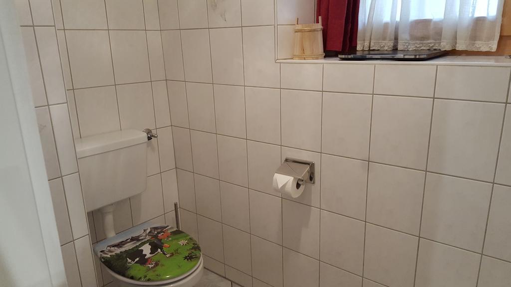 Alpen-Fewo, La Gassa 3 Apartman Flims Kültér fotó
